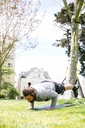 TRX® BURN System Suspension Trainer 