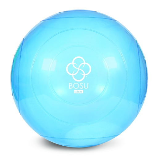[350260] BOSU Ballast Ball 65 cm
