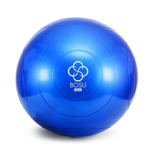 [350220] BOSU Ballast Ball 65 cm 5-pack